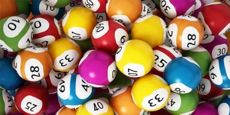 Nhà cái số đề những lưu ý quan trọng